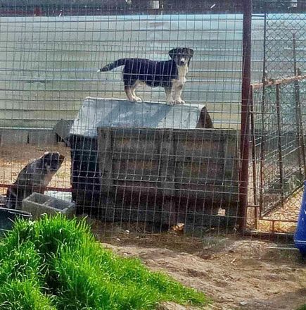 Agador, lieb und freundlich