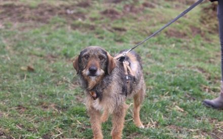 Kämpferin Rapunzel ist bereit für ein neues Kapitel