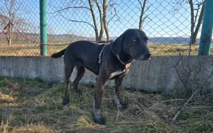 Julia - leise Seele sucht sicheren Hafen