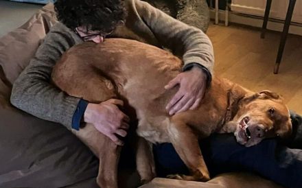 Menschenbezogener Ricky sucht Zuhause