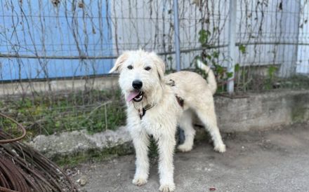 Mirabell - wunderschön und liebenswert