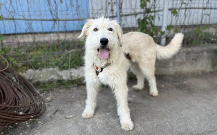 Mirabell - wunderschön und liebenswert