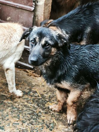 Apple sucht ihr Für-immer-Zuhause