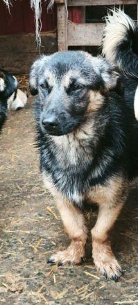 Apple sucht ihr Für-immer-Zuhause