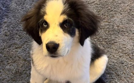 Lennart sucht ein neues Zuhause