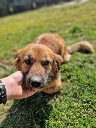 Luana, sehr lieb und freundlich