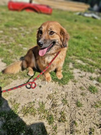 Luana, sehr lieb und freundlich