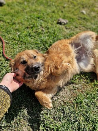 Luana, sehr lieb und freundlich