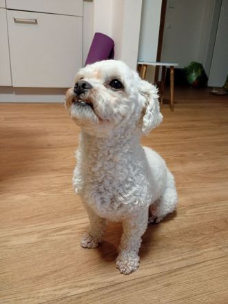 Princess 3 Jahre ❤️