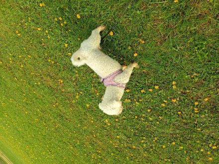 Princess 3 Jahre ❤️