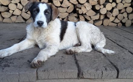 Gibst du Freyja eine Chance?!