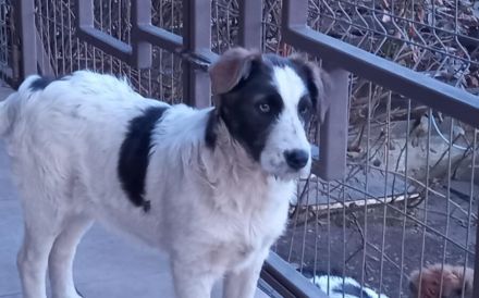 Gibst du Freyja eine Chance?!