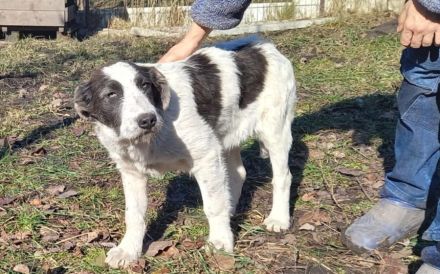 Gibst du Freyja eine Chance?!