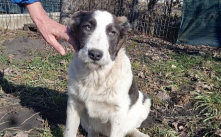 Gibst du Freyja eine Chance?!