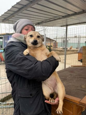 Poppy sucht ihr Für-immer-Zuhause