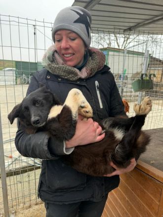 Pixie sucht ihr Für-immer-Zuhause