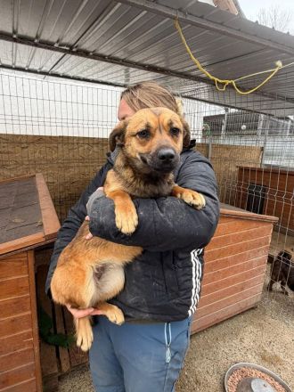 Paige sucht ihr Für-immer-Zuhause