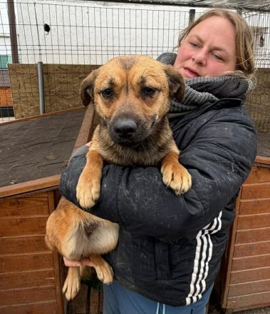 Paige sucht ihr Für-immer-Zuhause