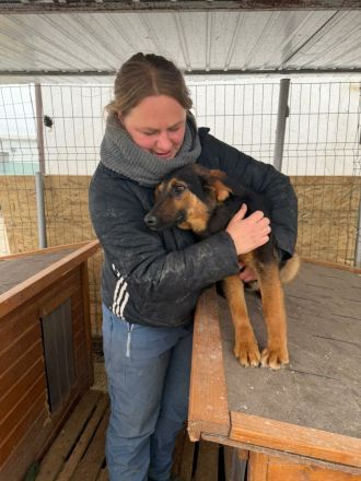 Peach sucht ihr Für-immer-Zuhause