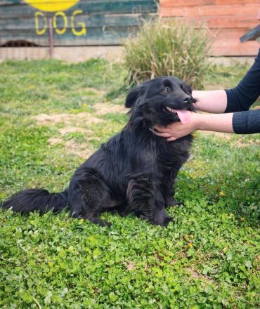 Blecky - freundlich und voller Lebensfreude