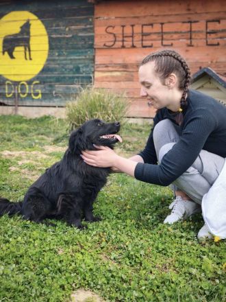 Blecky - freundlich und voller Lebensfreude
