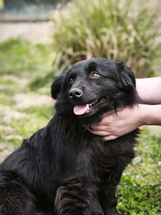 Blecky - freundlich und voller Lebensfreude