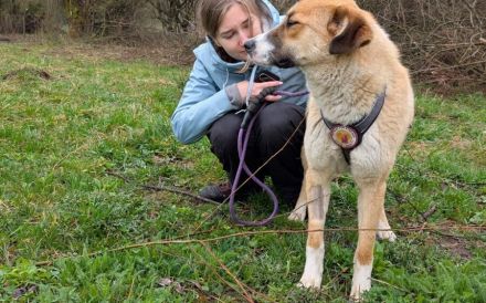 Zuhause gesucht für Camilla