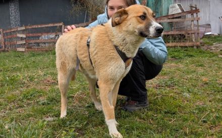 Zuhause gesucht für Camilla