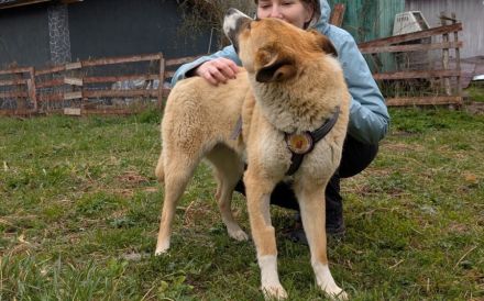 Zuhause gesucht für Camilla