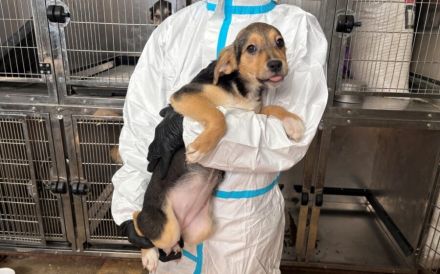 Bonnie wartet auf ihr Traumzuhause