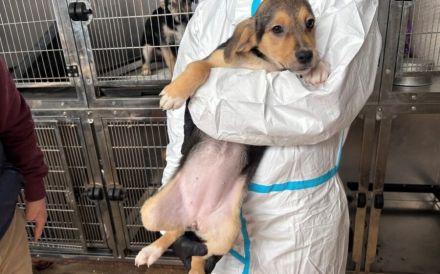 Bonnie wartet auf ihr Traumzuhause