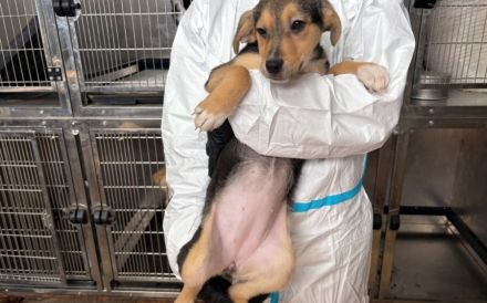 Bonnie wartet auf ihr Traumzuhause