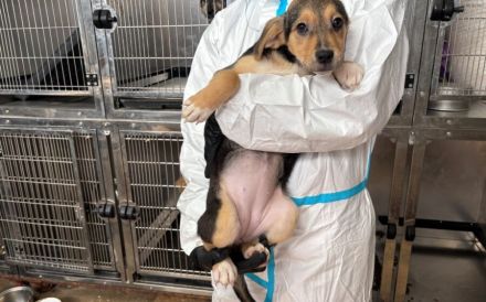 Bonnie wartet auf ihr Traumzuhause