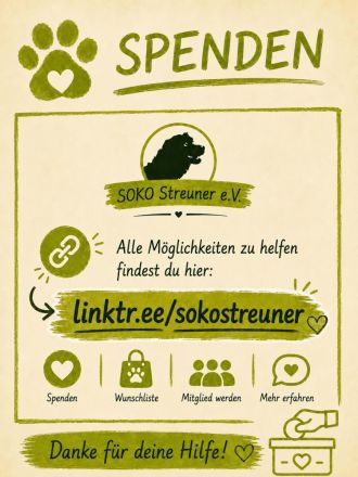 Schnapsi und seine Schwester Sanela suchen ihre Familien