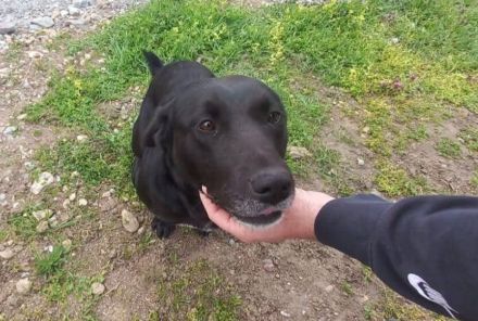 Delany liebt Menschen