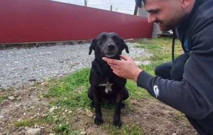 Delany liebt Menschen