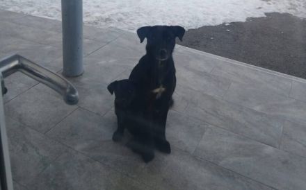 Delany liebt Menschen