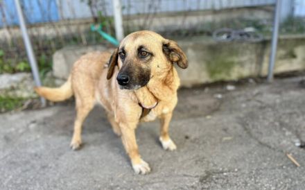 Juliana - sanft und bescheiden