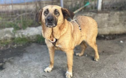 Juliana - sanft und bescheiden