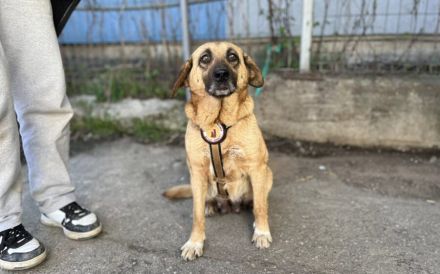 Juliana - sanft und bescheiden