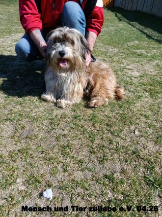 Teddy sucht sein Glück