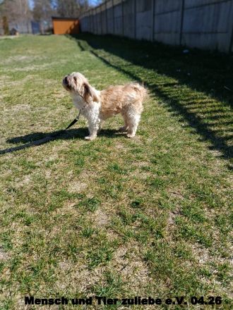 Nele, sehr lieb und freundlich