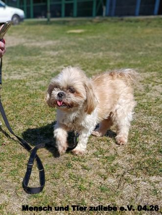 Nele, sehr lieb und freundlich