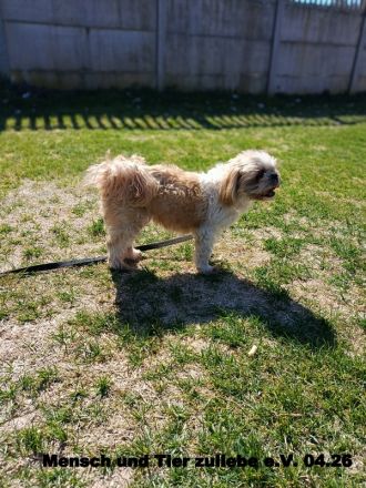 Nele, sehr lieb und freundlich