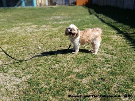 Nele, sehr lieb und freundlich