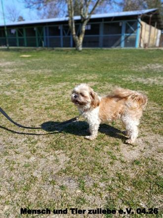 Nele, sehr lieb und freundlich