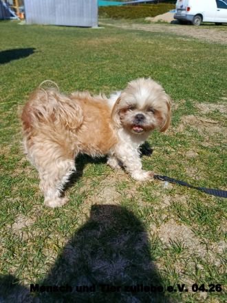 Nele, sehr lieb und freundlich