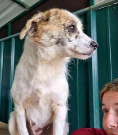 Banana, wer hat Platz und ein Herz für eine zarte, safte Seele?  4J, 38 cm