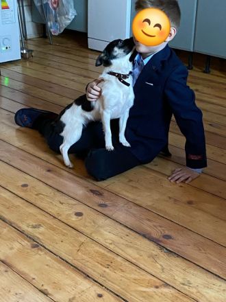 Chipa, ein kleines Schlitzohr wünscht sich sehnlichst eine Familie