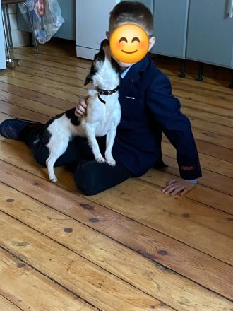 Chipa, ein kleines Schlitzohr wünscht sich sehnlichst eine Familie